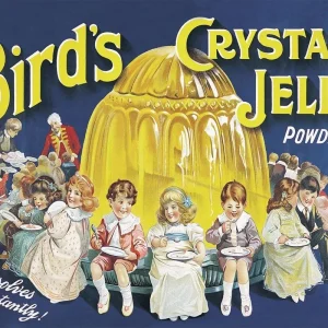 Vintage Metal Sign Retro Advertising Birds Crystal Jelly Powder MS36